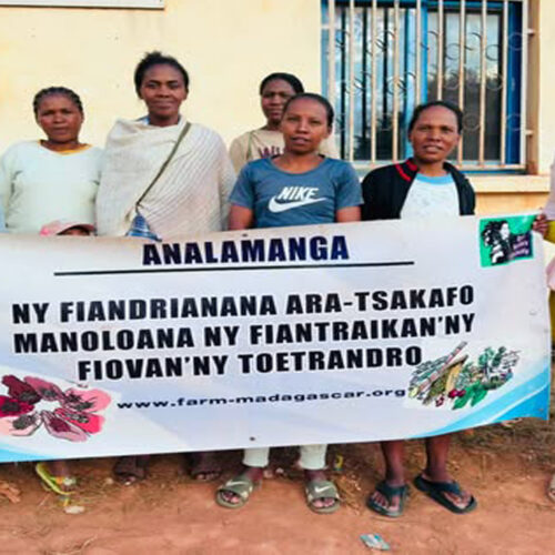 Fkt Ambohipananina, fkt Manandrina| Fampahafantarana ny fikambanana